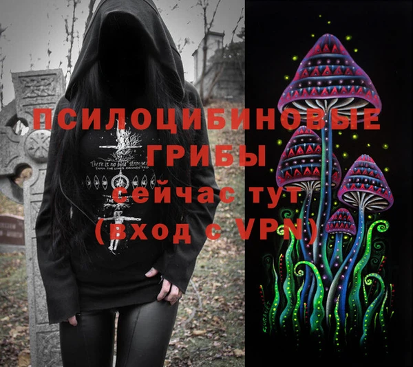 дурь Горняк
