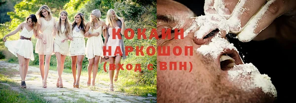 дурь Горняк