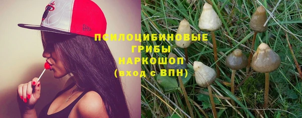 прущая мука Горно-Алтайск