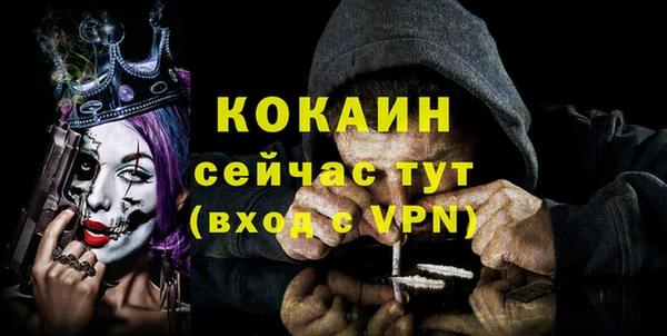 дурь Горняк