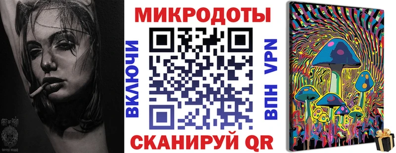 купить наркотики сайты  Городище  Галлюциногенные грибы прущие грибы 