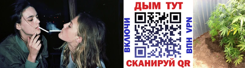 Каннабис план Городище